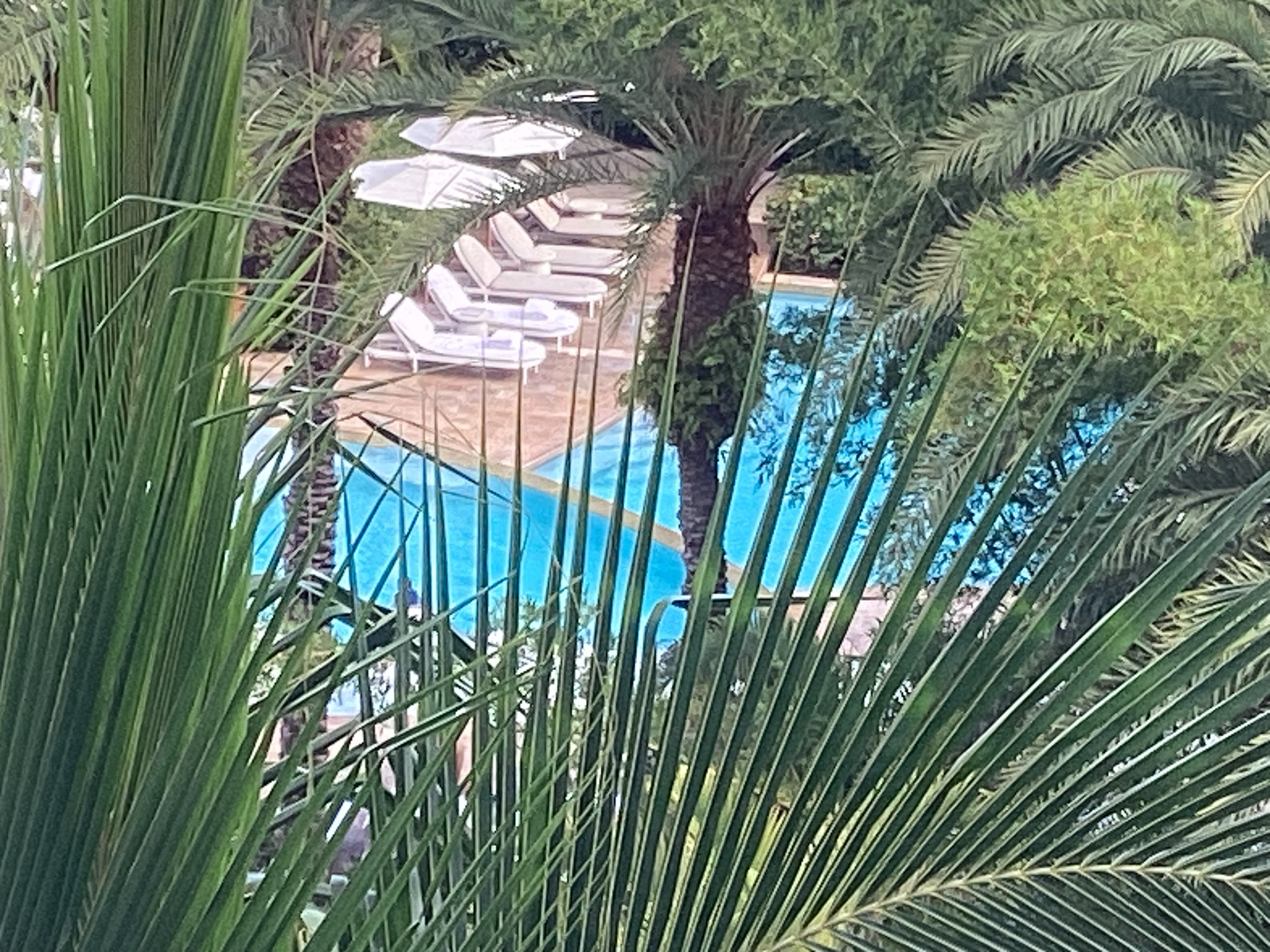 Bahamas3